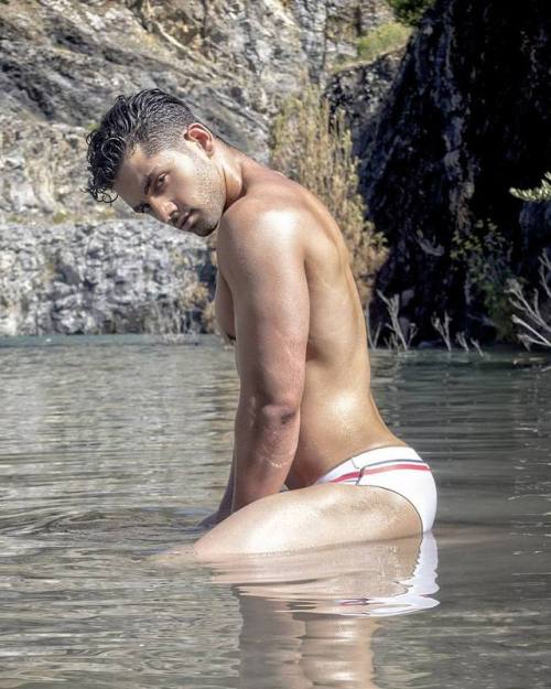 Speedo Celebration
