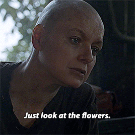 4x14 The Grove — 10x14 Look at the Flowers 
