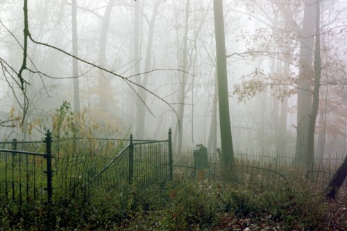 angelwarm:this cemetery is in the middle of the woods and all the graves were from the mid 1800s