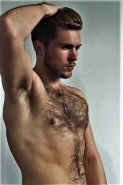 Hairy Armpits Dudes Addict