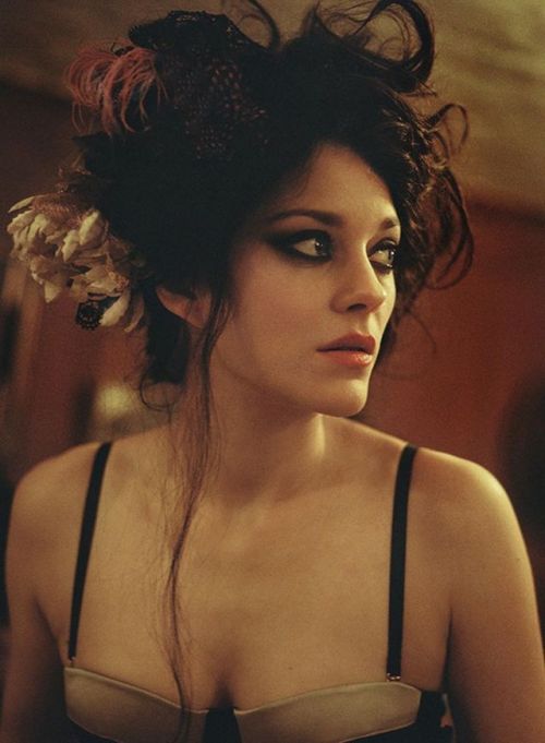 Porn Pics artyeux:  Marion Cotillard | David Bowie’s