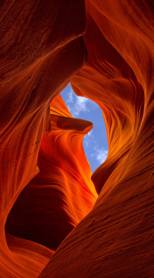 imickeyd:  King of the Canyon by Brad Mitchell 