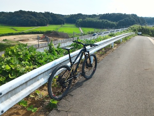 mtblike: 久し振りに平ペダルだったりするのねん。電車が来るのチョット待ったよ(笑)