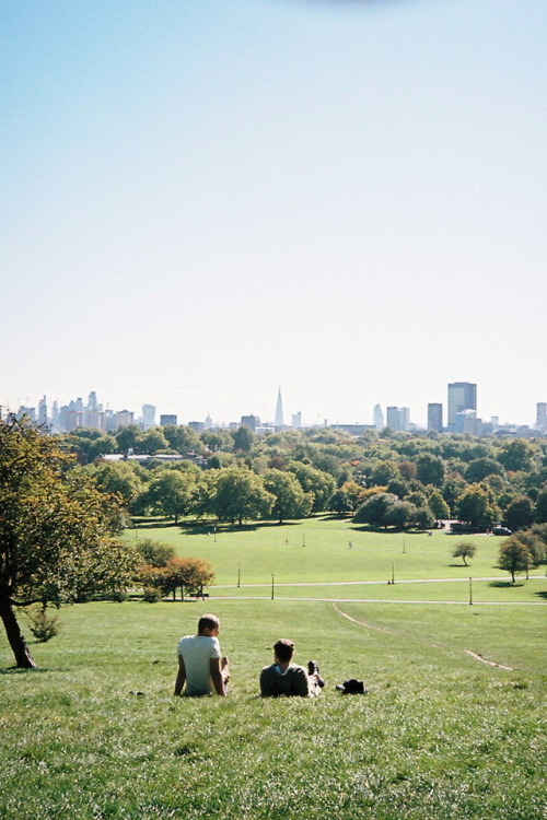 Probably the nicest day I’ve ever seen in London. Let’s call it the Primrose Standard.