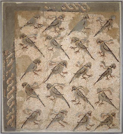 ancientanimalart:Floor mosaic with parrotsRoman5th-6th c. CEMusée du Louvre (via Images D'Art