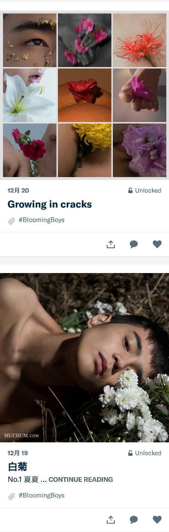 Tumblr media
