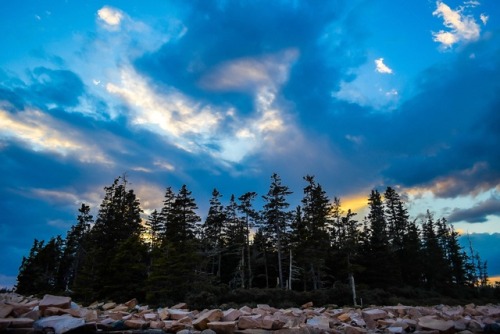 acadia national park