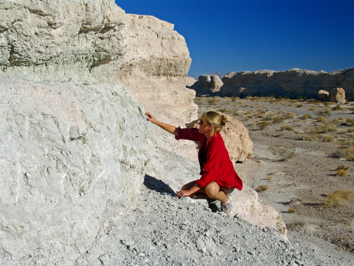 mypubliclands:Geology, Fossils and More“Scientists collect fossils all the time,” said Scott Foss, a