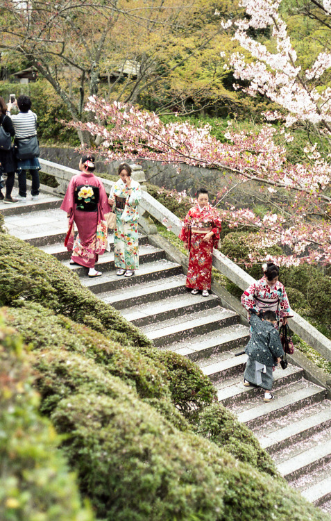 kiyomizu dera