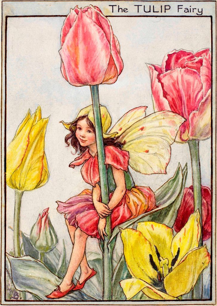 art-from-me-to-you:Cicely Mary Barker, Fairies of the Garden