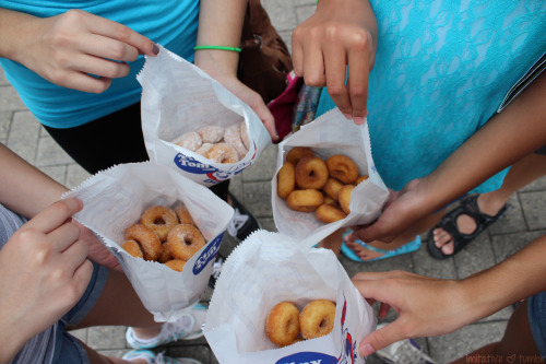 imitative:tiny tom’s doughnuts <3