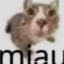 taufi28