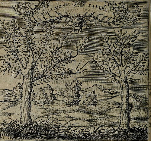 page 401 of &ldquo;Monumenta emblematorum Christianorum virtutum : tum politicarum, tum oeconomi