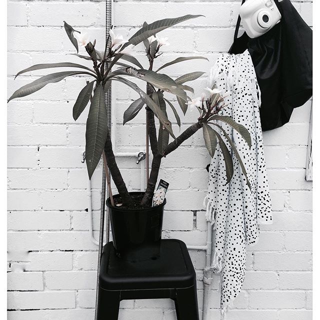 via*** myfabulousdesign****