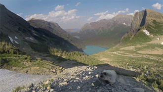 sizvideos:  Watch it in video Follow our Tumblr - Like us on Facebook 