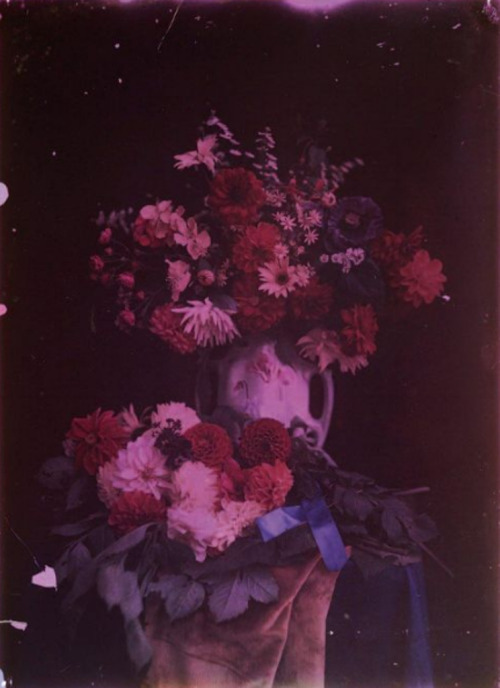 madivinecomedie:Louis Ducos du Hauron. Composition aux dahlias. Plaque de verre couleur . Via yannle