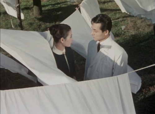 aozoramusume:Warm Current (Yasuzo Masumura,1957)