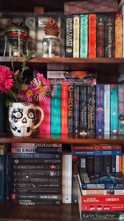 XXX thestateofspirit:My shelves might be collapsing photo