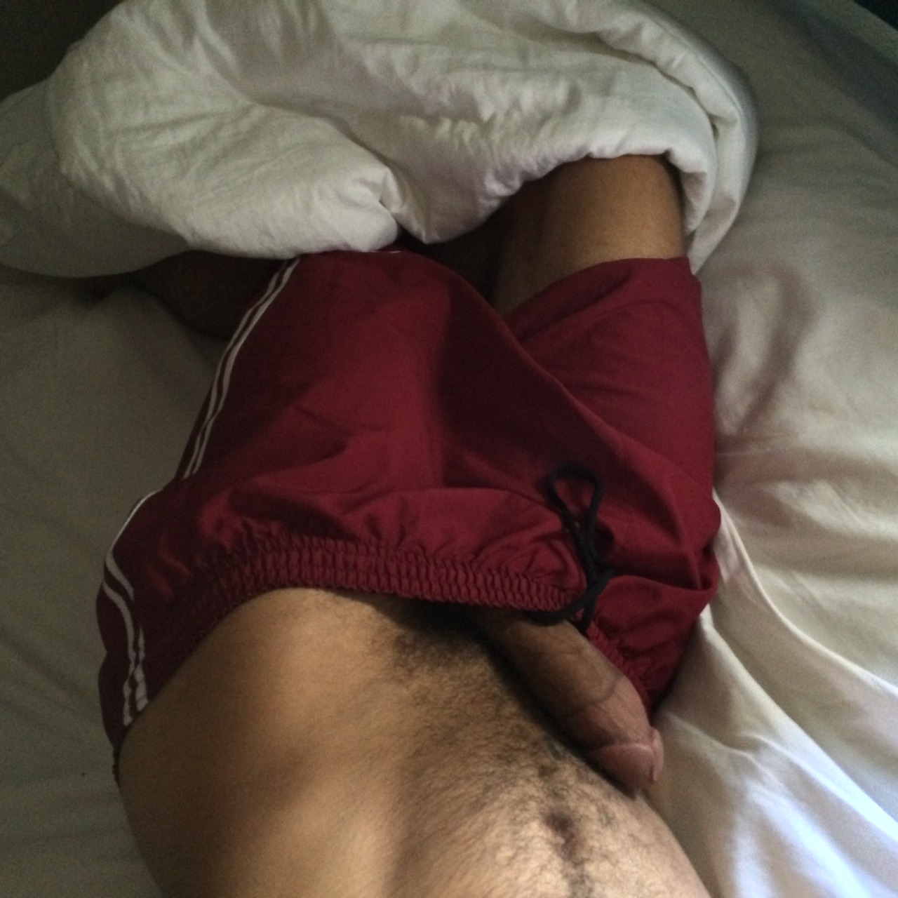 dicksforgirls:  submission