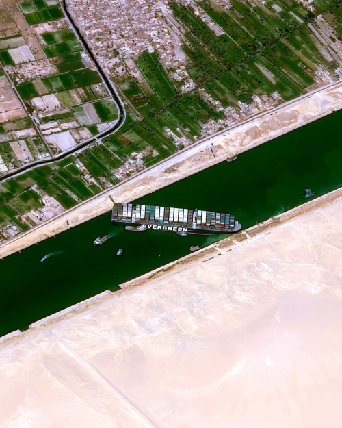 dailyoverview:A large container ship has been stuck in the Suez Canal since Tuesday, after strong wi