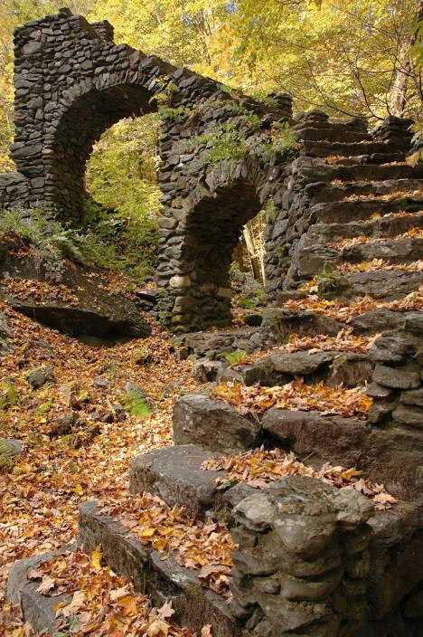 sixpenceee:A stairway located in the woods. This is in Madame Sherri Forest, Chesterfield,