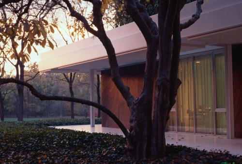 Miller House (1953-57) In Columbus, IN, USA, By Eero Saarinen. Photo By Balthazar Korab.