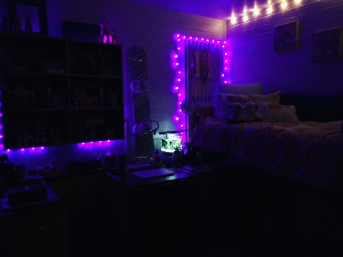 My dorm room  Original Glow Blog