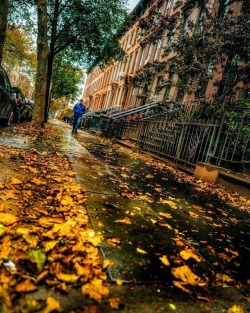 newyorkcityfeelings: Cobble Hill, Brooklyn by Gina Brake @nyc_ph0t0