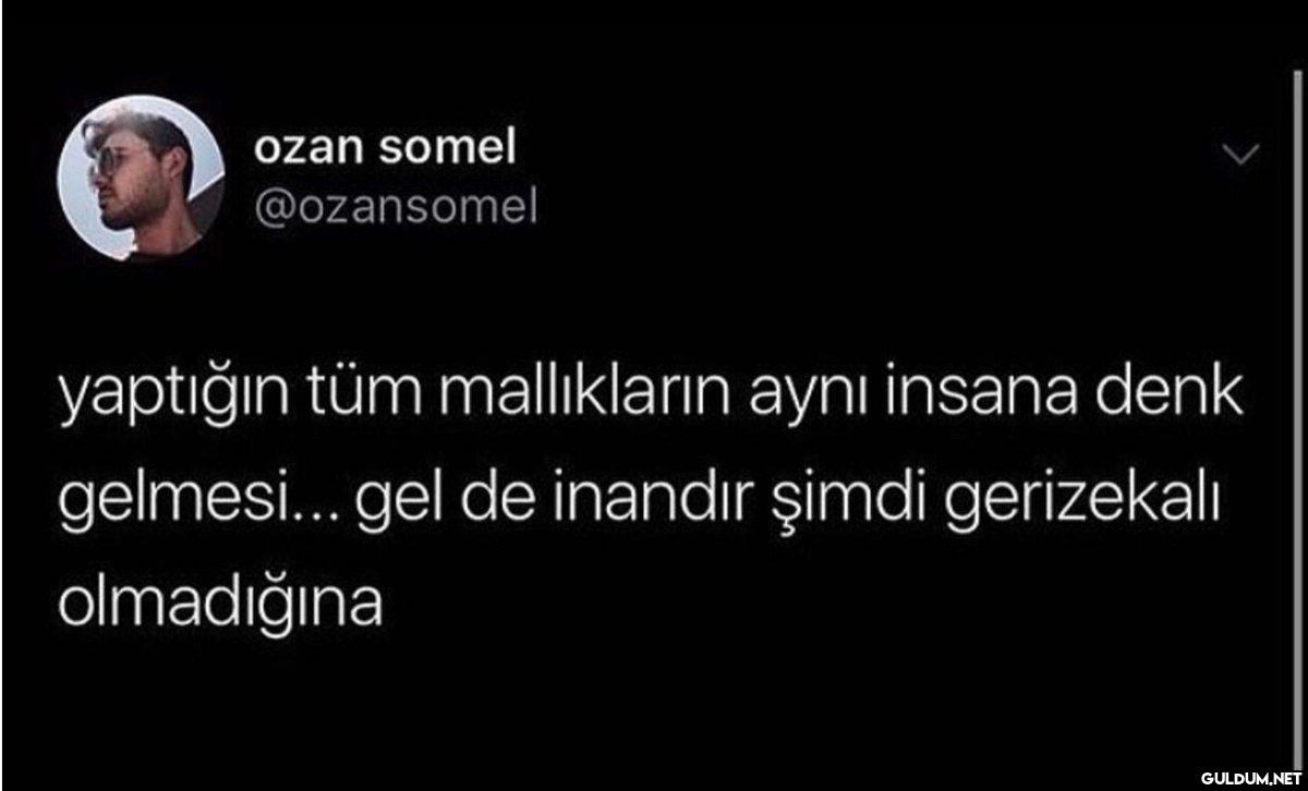 ozan somel @ozansomel...