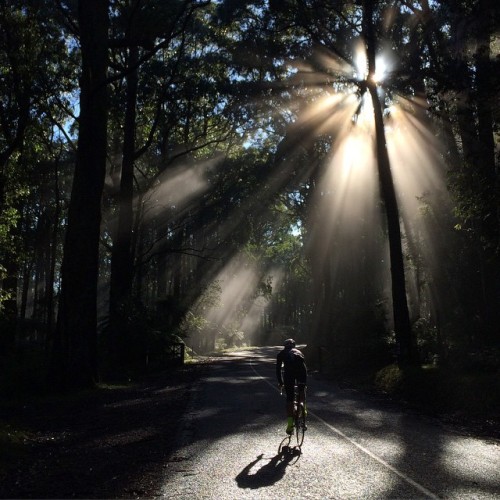 nolifelikethislife: #RoadsLikeThese by lureandfox ift.tt/1ep3qI3