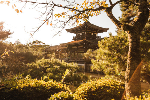 Tuesday 3rd October 2017. 16:00 Kyoto Japan.Heian-jingu Shrine’s gardens will always be one of my fa