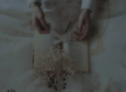 lovelycloudyday-photography:  autumn melancholy. © lovelycloudyday