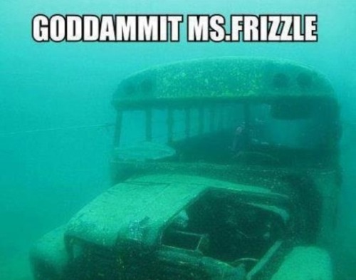 That damn Ms.Frizzle.lmao