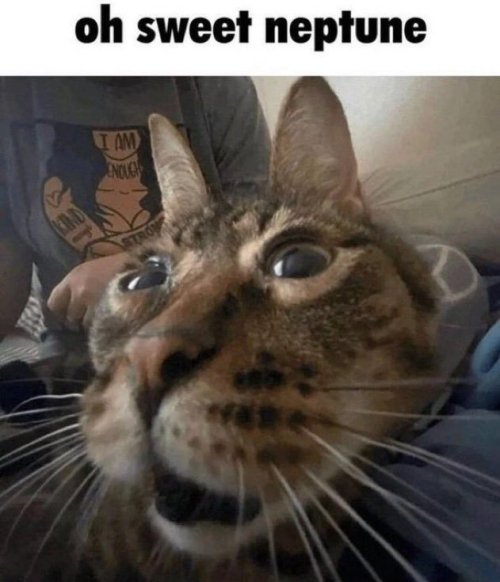 Boop!