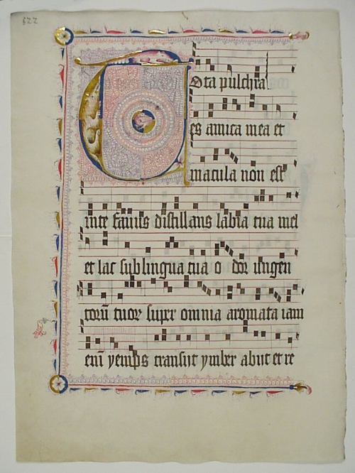 Manuscript Leaf with Initial T, from an Antiphonary, Metropolitan Museum of Art: Medieval ArtGift of