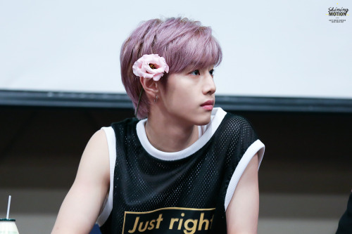 dailygot7:  © Shining Motion | Do not edit. (1/2)