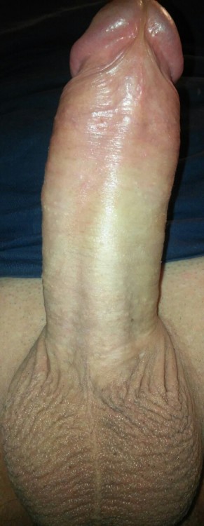 precumx: New horny session.