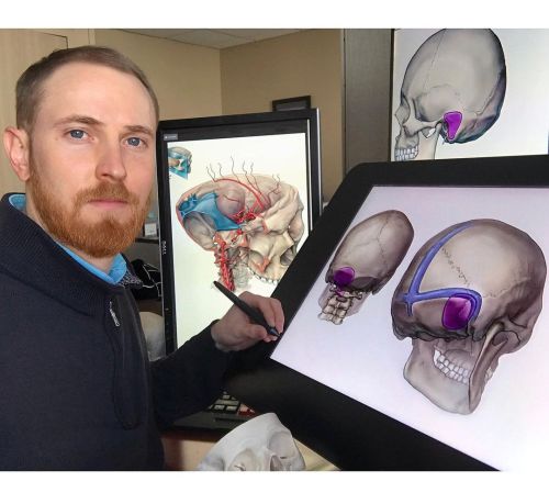 Skulls and skulls and skulls… ✍#neuro #craniotomy #skulldrawing #neuroanatomy #brainart #medicalartw