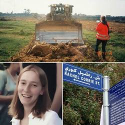 diaspora: diaspora:  March 16th, 2017 marks the 14th year anniversary to Rachel Corrie’s death where she was killed by an Israeli bulldozer that ran her over while she was trying to stop it from demolishing a home of a Palestinian family in Gaza. 