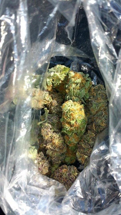 xlovexisxblindx:  sammy–sic:  Bag o’ weed