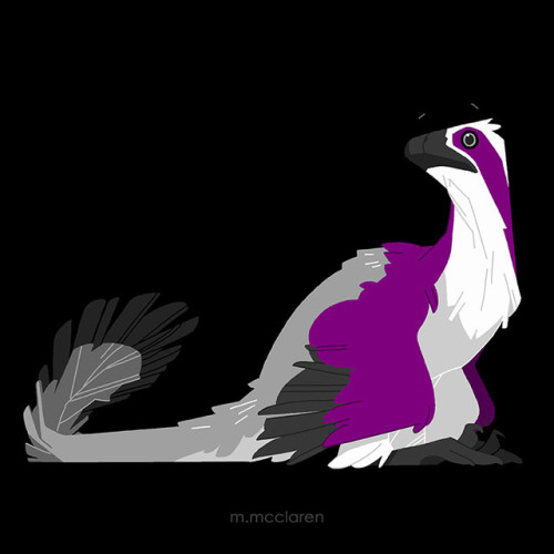 Ace-eroraptor