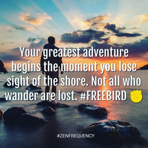 Freebird ✊ . . . . #zenmoment #zenfrequency #quotes #love #life #quoteoftheday #truth #inspiration #