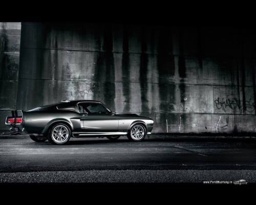 Muscle Cars Fans