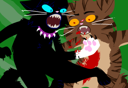 threshcadet: warriorstuck by erin hussie: the ultimate middle school crossover. tigerstar is god tier and his death at scourge’s paws is ruled as just. the death of my hand after drawing most of this in one sitting was also ruled as just