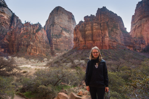 Sundance Film Festival 2015: Zion National ParkWe combined our two favorite things, cinema and beaut