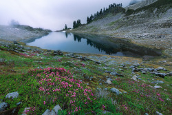 90377:Lake Ann &amp; Rainy Lake, Washington by Ryan McGinnis etsy.com/shop/RyanMcGinnisPhotog