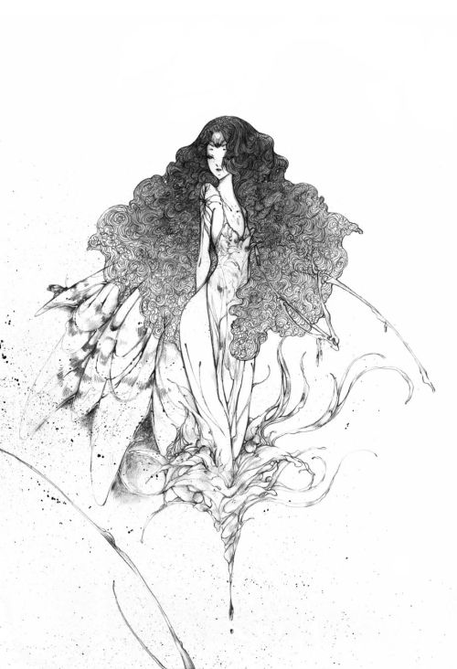 lohrien:  Illustrations by katarinea dA l tumblr