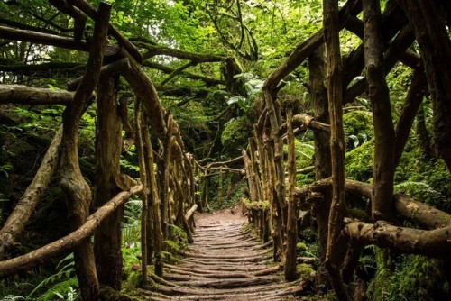 pagewoman:Forest of Dean, Gloucestershire, England