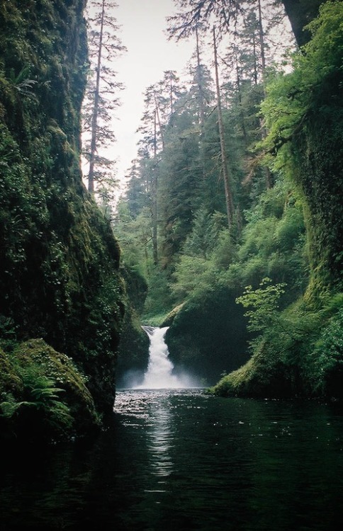 learibite23:  Follow for more more wonderful picture