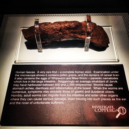 lilliburlero:whyayesosirius:A Viking poo that is over a thousand years old! This is important. - #vi